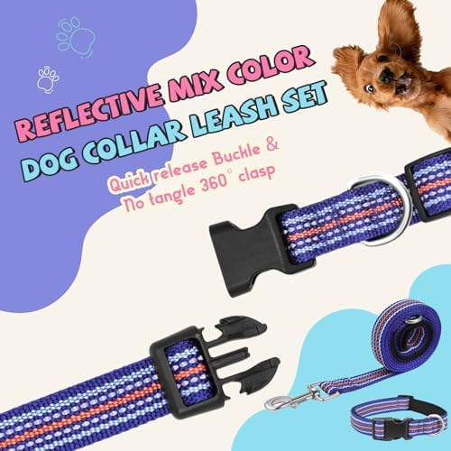 Reflective Dog Collar and Leash Set (4 FT/5 FT) for Small Dogs