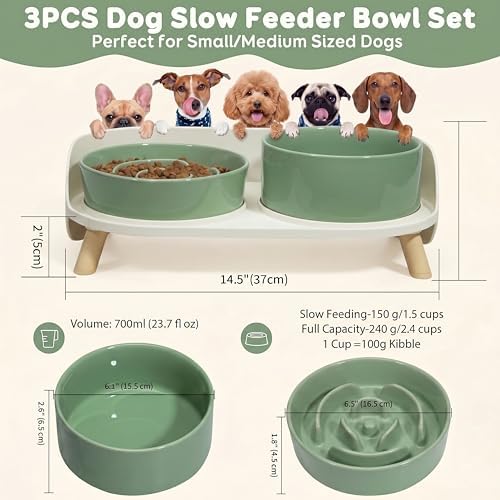 Elevated Slow Feeder Dog Bowls with Splash Proof Stand, Slow Eating 5X