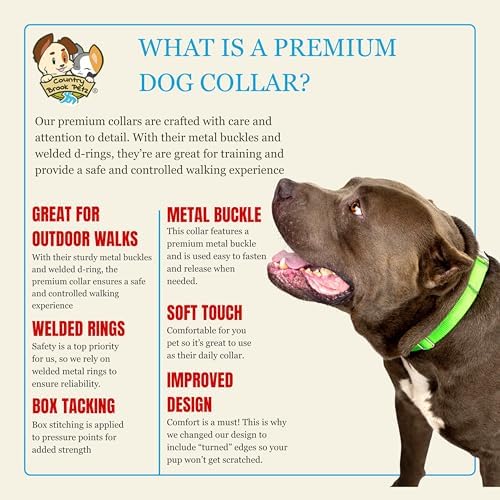 Country Brook Petz - Premium Nylon Dog Collar with Metal Buckle for Small Medium Large Breeds - 30+ Colors (Medium, 3/4 Inch Wide, Hot Lime Green)