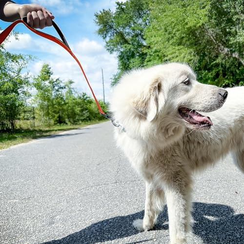Joytale Dog Leash for Large Dogs that Pull, Double Handle, 6FT, Orange
