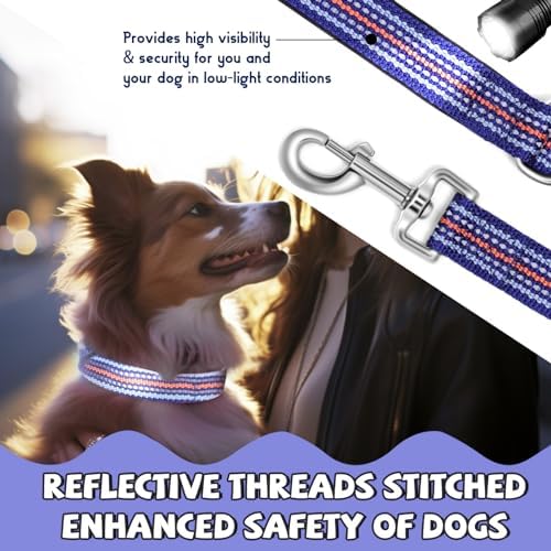 Reflective Dog Collar and Leash Set (4 FT/5 FT) for Small Dogs
