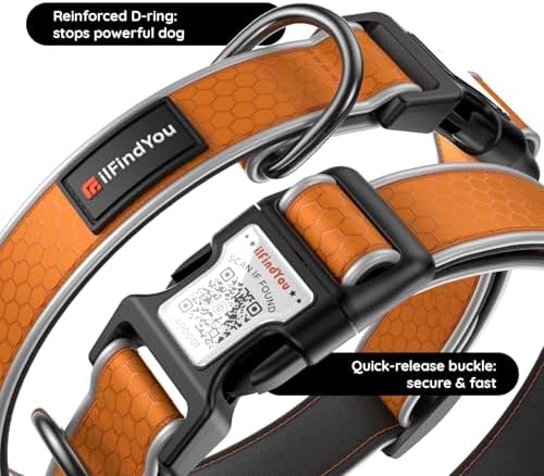 Personalized Dog Collar with QR Code Dog Tag, Oxford Orange S