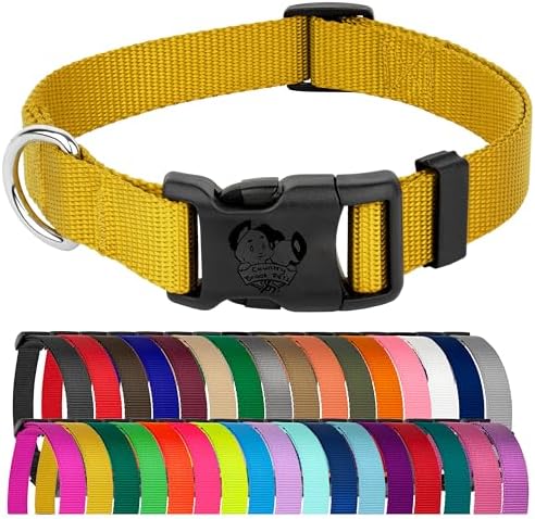 Country Brook Petz - Everyday Nylon Dog Collar for Large, Medium, and Small Dogs and Puppies - for Everyday Use in 30+ Colors (3XS, 3/8 Inch Wide, Gold)