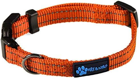 Max and Neo Neo Nylon Buckle Reflective Dog Collar - We Donate a Collar to a Dog Rescue for Every Collar Sold (X-Small, Orange)