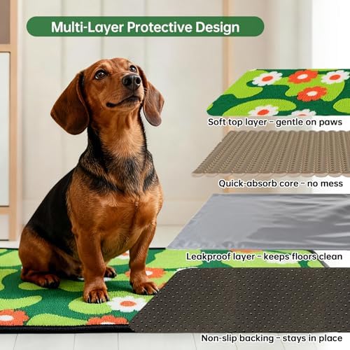 Qeils Reusable Puppy Pads for Small Dogs, Washable Pee Pads with Non-Slip , Absorbent Leakproof Mat for Crates, Playpens, Pet Beds & Whelping, Indoor Potty Training Grass Green, 31"x36", 2 Pack