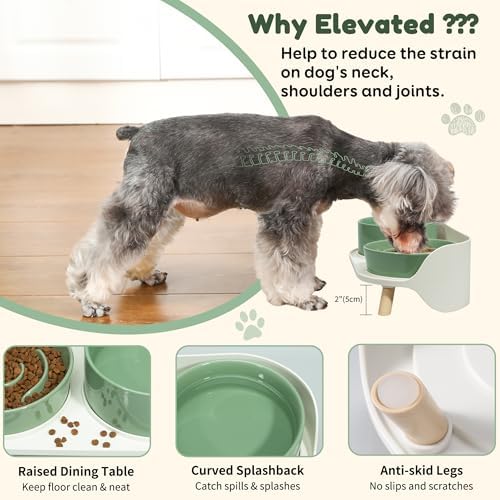 Elevated Slow Feeder Dog Bowls with Splash Proof Stand, Slow Eating 5X