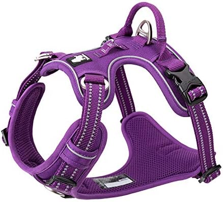 WINHYEPET True Love No Pull Dog Harness Extra Reflective Pet Harness for Small Medium Large Dogs Adjustbale for Running Walking Padded Soft Mesh Vest Easy Control TLH56512(Purple,M)