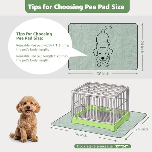 LOOBANI Washable Pee Pads for Dogs, Potty Training, 36"x24", 2-Pack
