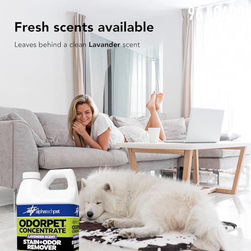 ATP OdorPet Concentrated Stain and Odor Remover, Lavender Scent, 64 Fl Oz