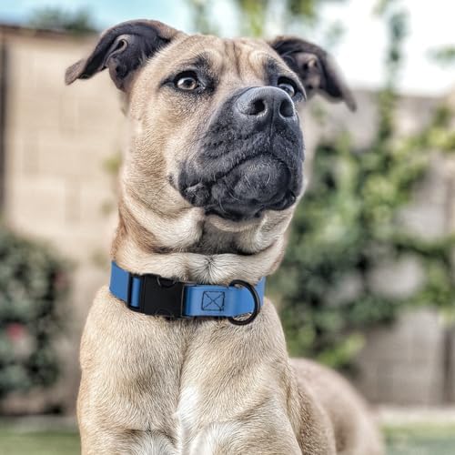 Dogline Biothane Waterproof Dog Collar with Quick Release Buckle Strong Coated Nylon Webbing with Odor- Proof for Easy Care Easy to Clean Fits Small Medium or Large Dogs, Dogline Blue 3/4" W 12-19" L