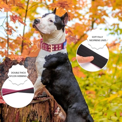 Heavy Duty Dog Collar for Medium Large Dogs,Wine Red,Medium