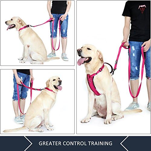 Plutus Pet Double Handle Dog Leash, 4 FT Long, for Medium Large Dogs