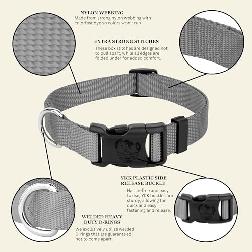 Country Brook Petz - Everyday Nylon Dog Collar for Large, Medium, and Small Dogs and Puppies - for Everyday Use in 30+ Colors (3XS, 3/8 Inch Wide, Silver)