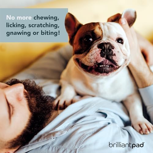 BrilliantPad No No! Bitter Chew Deterrent Spray for Dogs & Puppies (4oz)