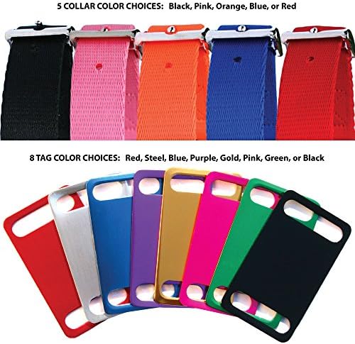 GoTags Dog Collar with Slide-on Dog Tag, Durable Nylon Dog Collar and Personalized Dog ID Tag Nameplate in Assorted Colors and Sizes