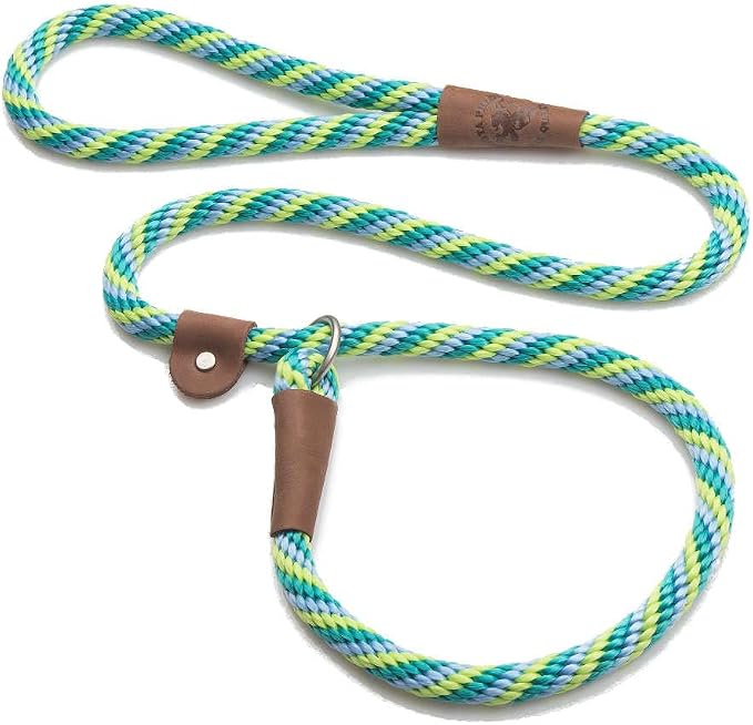 Mendota Pet Slip Leash - Dog Lead and Collar Combo - Made in The USA - Seafoam, 1/2 in x 6 ft - for Large Breeds