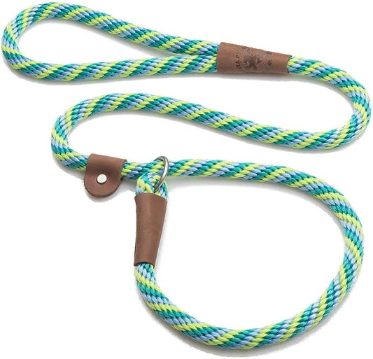 Mendota Pet Slip Leash - Dog Lead and Collar Combo - Made in The USA - Seafoam, 1/2 in x 6 ft - for Large Breeds