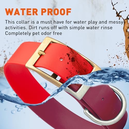 Viper Biothane Heavy Duty Waterproof Dog Collar Strong Coated Nylon Webbing w/Solid Brass Hardware Odor-Proof Easy to Clean High Performance Fits Small Medium or Large Dogs, Cherry Red