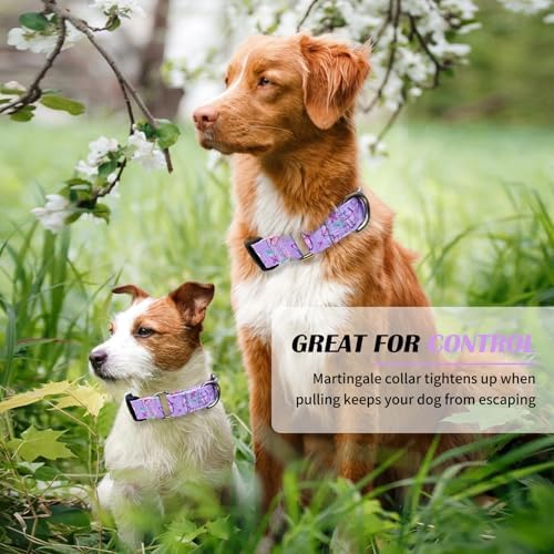 Hikiko Martingale Collar for Dogs with Special Pattern,Adjustable,L