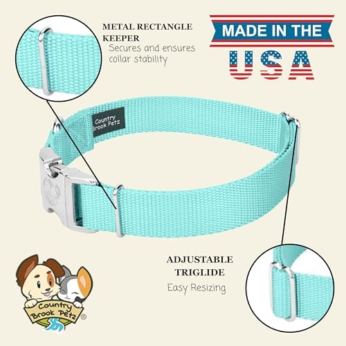 Country Brook Petz - Premium Nylon Dog Collar with Metal Buckle for Small Medium Large Breeds - 30+ Colors (Large, 1 Inch, Light Cyan)