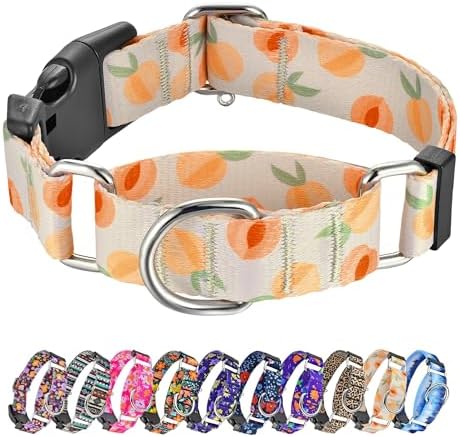 Hikiko Martingale Collar for Dogs with Special Pattern,Adjustable,S