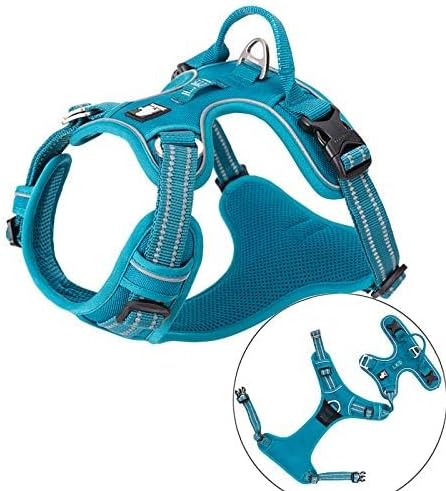 WINHYEPET True Love No Pull Dog Harness Extra Reflective Pet Harness for Small Medium Large Dogs Adjustbale for Running Walking Padded Soft Mesh Vest Easy Control TLH56512(Blue,XL)