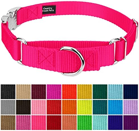 Country Brook Petz - Martingale Dog Collar - Heavy Duty Nylon Adjustable Martingale Dog Collar with Metal Buckle for Small Medium Large Breeds 30+ Color Options (1 Inch, Large, Hot Pink)