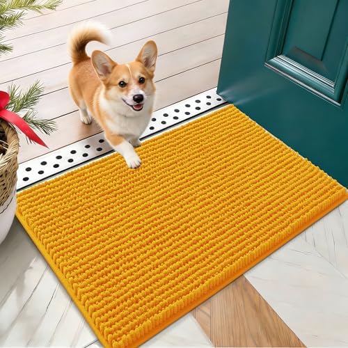 OLANLY Dog Door Mat for Muddy Paws 24x16, Extra Absorbent Chenille Mud Mat