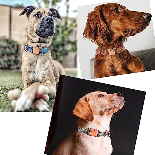 Dog Collar with Metal Buckle for Small Medium Large Dog, Heavy Duty Nylon Dog Collar (Large, Blue)