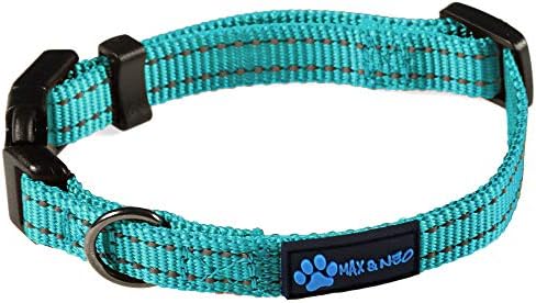 Max and Neo NEO Nylon Buckle Reflective Dog Collar - We Donate a Collar to a Dog Rescue for Every Collar Sold (X-Small, Teal)
