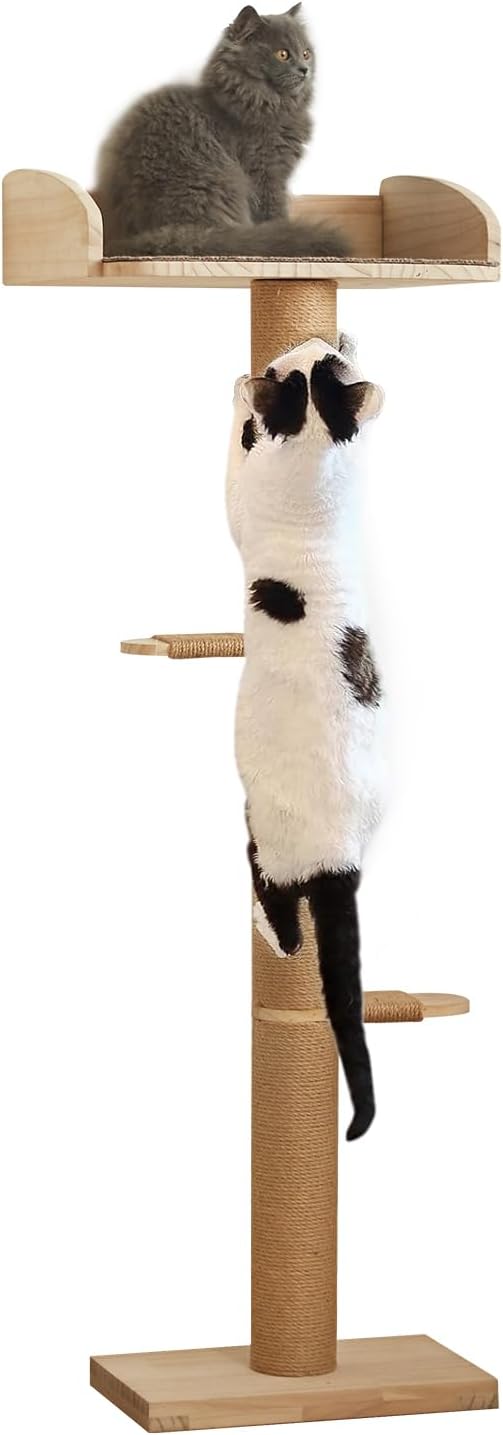Cat Window Perch with Tall Scratching Posts, Inside 48 in Tall Climbing Tree Hammmock Mounted with Suction Cups for Climbing, Bird Watching, and Play, Supports 45 lbs