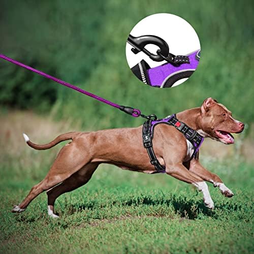 PoyPet Dog Harness and Leash Set, No Pull Vest with Front Clip and Handle