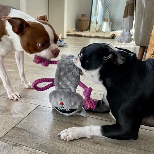 rocket & rex Puppy Chew Toys, Stuffing-Free Rope & Plush Set (3pk)