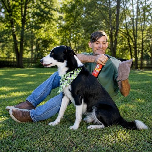 Pet Stain & Odor Eliminator, Multi-Surface Cleaner Spray for Home, Carpet Cleaner for Dog & Cat Areas, 16oz Spray Bottle & Mitt