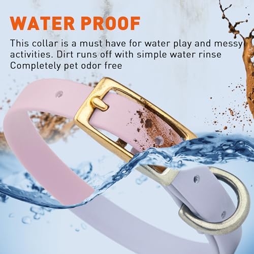 Viper Biothane Heavy Duty Waterproof Dog Collar Strong Coated Nylon Webbing w/Solid Brass Hardware Odor-Proof for Easy Care to Clean High Performance Fits Small Medium or Large Dogs, Pastel Purple