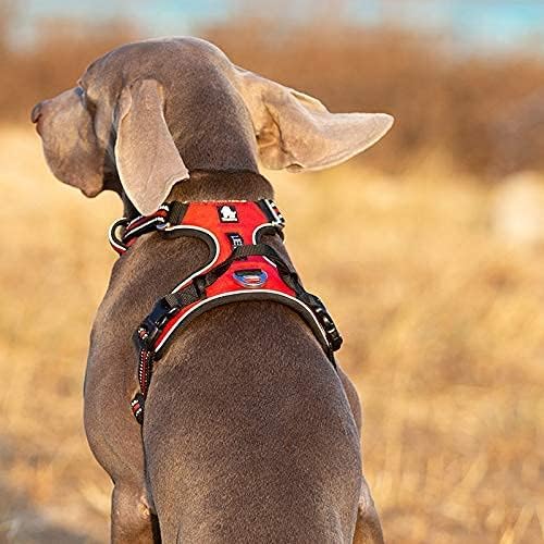 WINHYEPET True Love No Pull Dog Harness Extra Reflective Pet Harness for Small Medium Large Dogs Adjustbale for Running Walking Padded Soft Mesh Vest Easy Control TLH56512(Orange,L)