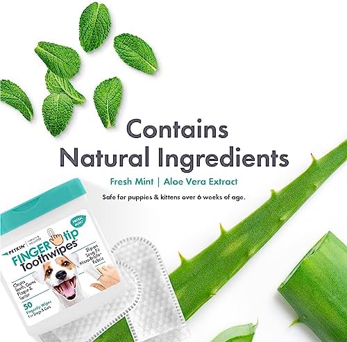 Petkin Fingertip Tooth Wipes for Dogs and Cats, 50 Finger Wipes - Slip-On, Snug Fit, Micro-Bristle Fabric - Cleans Teeth, Gums, Plaque & Tartar - Convenient, Ideal for Home and Travel - Fresh Mint