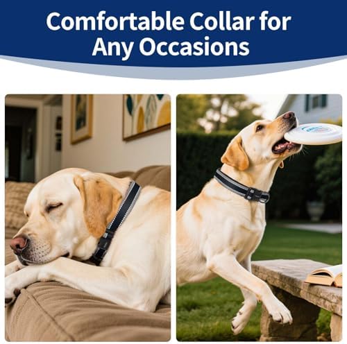 Kazazoo Large Dog Collar, Reflective Collar,No Pull,Heavy Duty Collar,Soft Neoprene & Quick Release Buckle Dog Collars for Labrador,German Shepherd,Golden Retriever-Black-XL