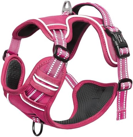 HEELE Dog Harness for Medium Dogs No Pull Dog Vest Harness with Soft Padded Handle Reflective for Outdoor Training, Rose(Matching Trim), M