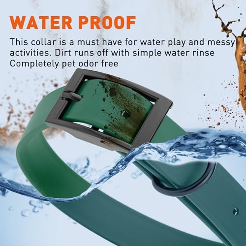 Dogline Biothane Waterproof Dog Collar Strong Coated Nylon Webbing with Black Hardware Odor- Proof for Easy Care Easy to Clean High Performance Fits Small Medium or Large Dogs, Hunter Green