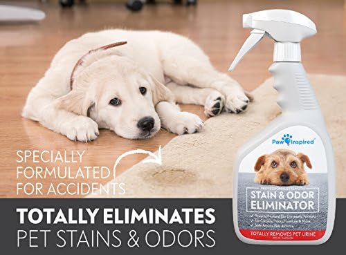 Paw Inspired Enzymatic Cleaner, Pet Stain & Odor Eliminator Spray