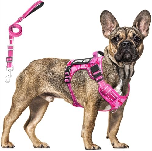 Tactical Dog Harness and Leash Set with 10 Patches for Medium Dogs