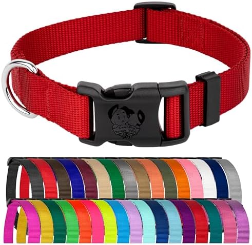 Country Brook Petz - Everyday Nylon Dog Collar for Large, Medium, and Small Dogs and Puppies - for Everyday Use in 30+ Colors (Small, 3/4 Inch Wide, Red)