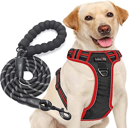 tobeDRI No Pull Dog Harness Adjustable Reflective Oxford Easy Control Medium Large Dog Harness with A Free Heavy Duty 5ft Dog Leash, Black/Red, L