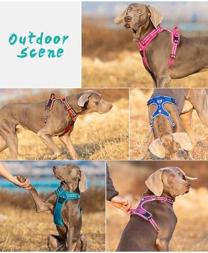 TRUE LOVE Dog Harness No Pull Nylon Reflective Pet Harness Adjustable Comfortable Control Step-in Brilliant Colors Truelove TLH56512 XL Black