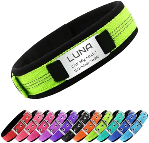 Reflective Personalized Dog Collar with Name Tag，Green：M