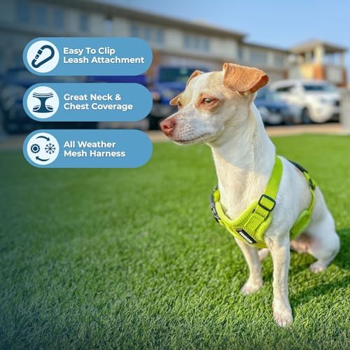 Best Pet Supplies Voyager Step-in Air All Weather Mesh Harness and Reflective Dog 5ft Leash Combo with Neoprene Handle, for Small, Medium and Large Breed Puppies - Lime Green, XXX-Small