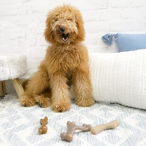 Nylabone Strong Chew Gourmet Style Dog Chew Toy, Small, 2 Count