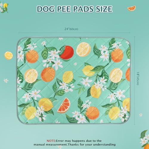 BVAGSS Washable Pee Pads for Dogs, 2 Pack Reusable Leakproof Puppy Wee Wee Pad, Non-Slip Waterproof Pet Training Pads, Super Absorbent Whelping Pads XH081 (Green Lemon, 24X18 Inch (Pack of 2))