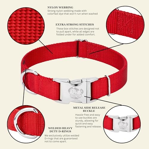 Country Brook Petz - Premium Nylon Dog Collar with Metal Buckle for Small Medium Large Breeds - 30+ Colors (Large, 1 Inch, Bright Red)